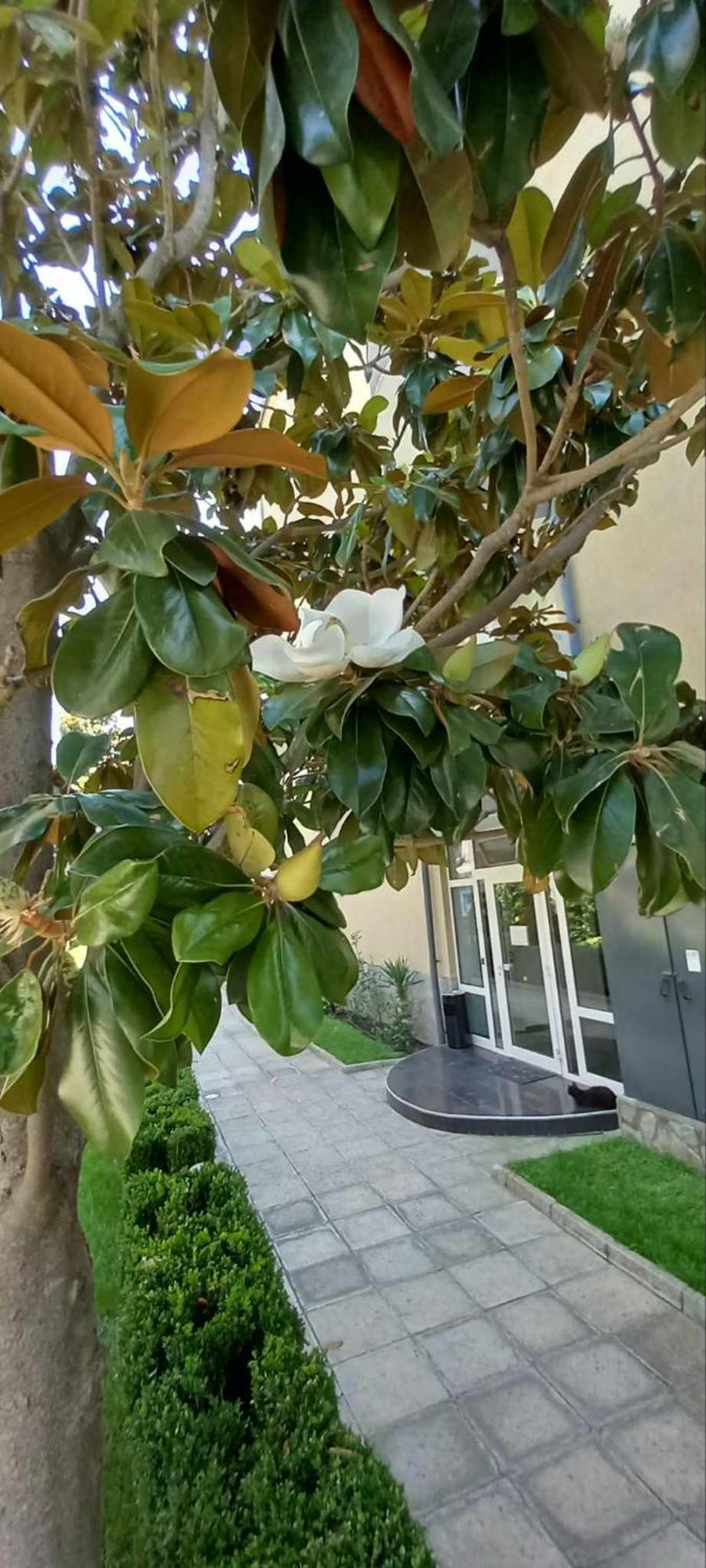 Anelia178 Διαμέρισμα Σάνι Μπιτς Εξωτερικό φωτογραφία